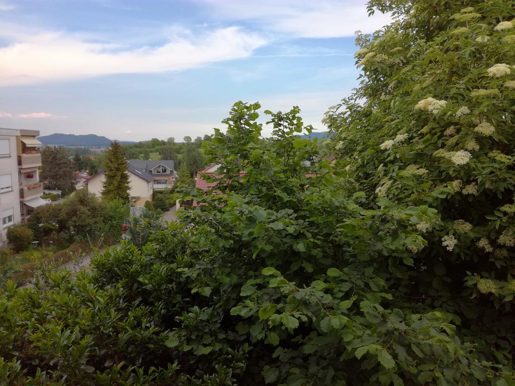 Alte Schreinerei-Auberge Harlekin Randegg المظهر الخارجي الصورة
